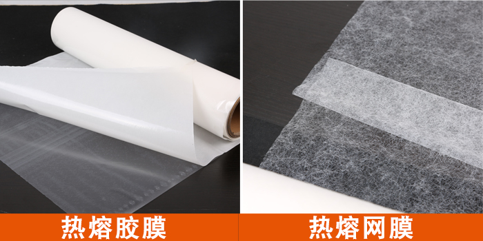 膠膜與網膜.jpg 膠膜與網膜.jpg