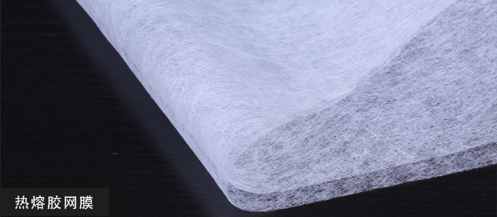 熱熔膠網膜圖.jpg 熱熔膠網膜圖.jpg