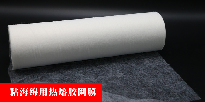 粘海綿用熱熔膠網膜.jpg 粘海綿用熱熔膠網膜.jpg