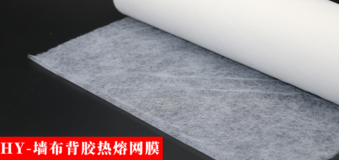墻布網膜.jpg 墻布網膜.jpg